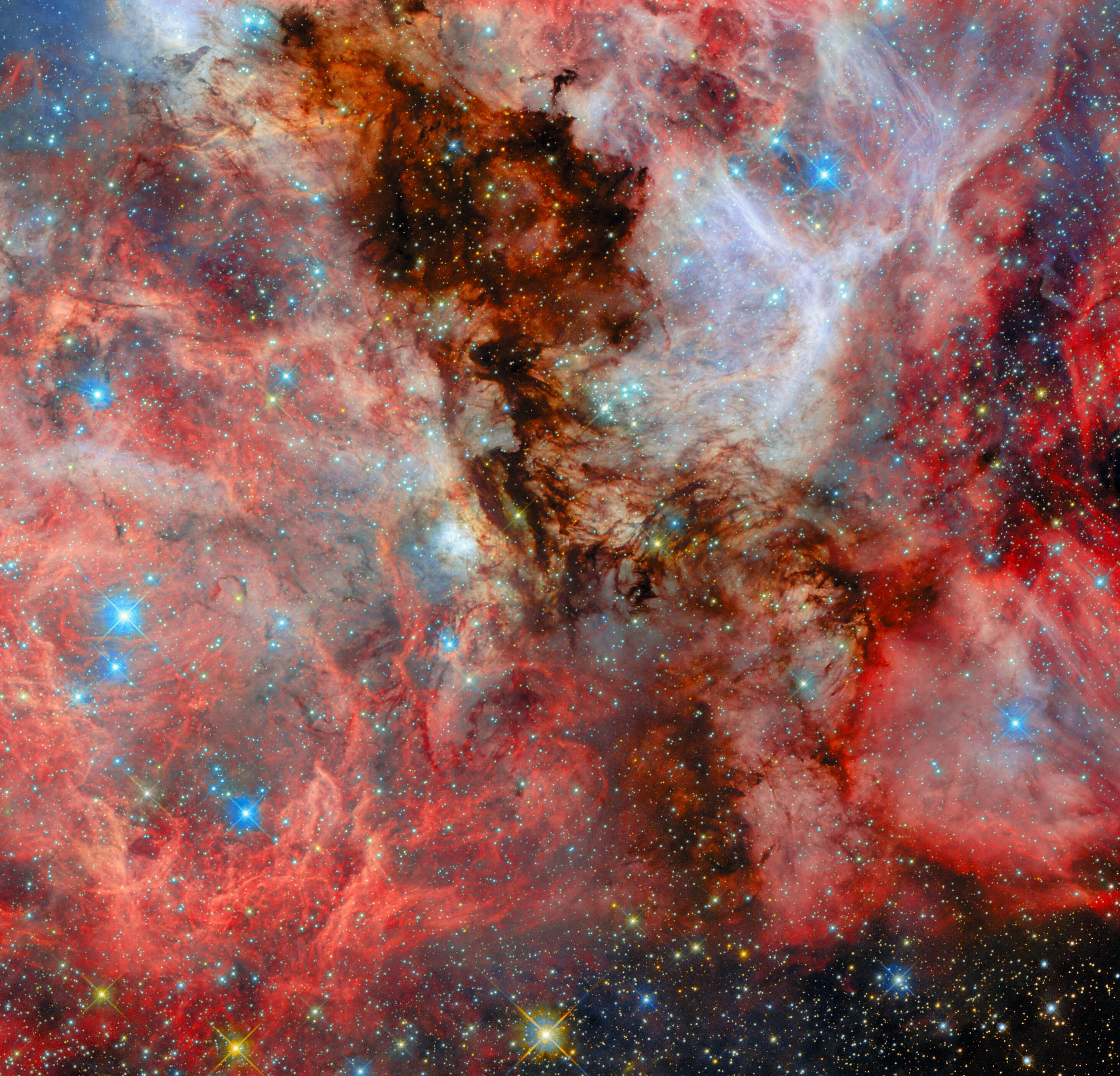 Hubble Picture of the Week: Sousední výhled na hvězdné zrození