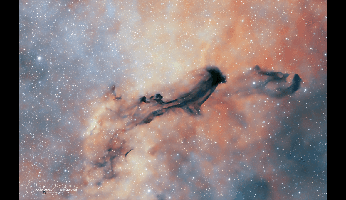 NASA obrázek dne: B93: Temný mezihvězdný duch