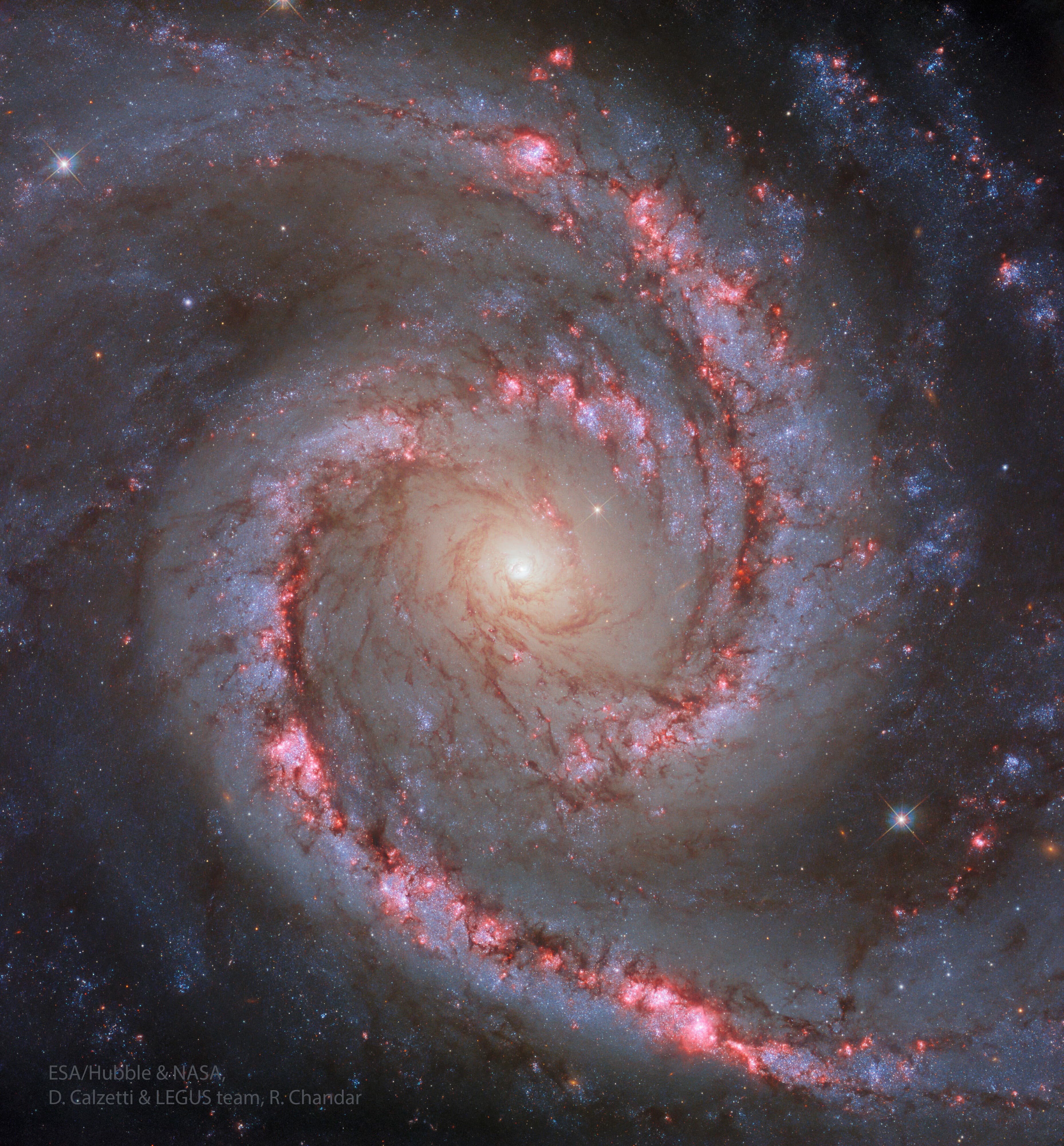 NASA obrázek dne: NGC 1566: Galaxie Španělská tanečnice