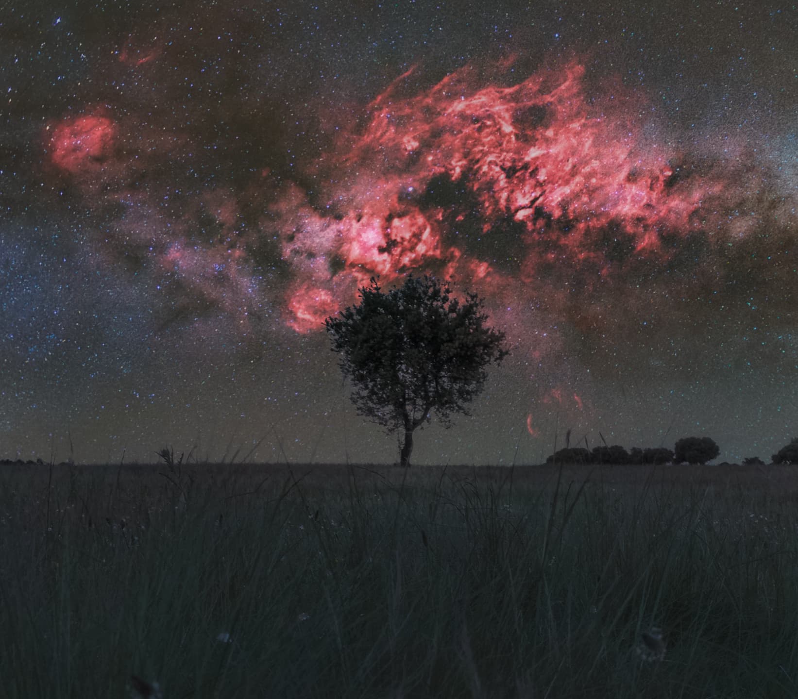 NASA obrázek dne: Cygnus a osamělý strom