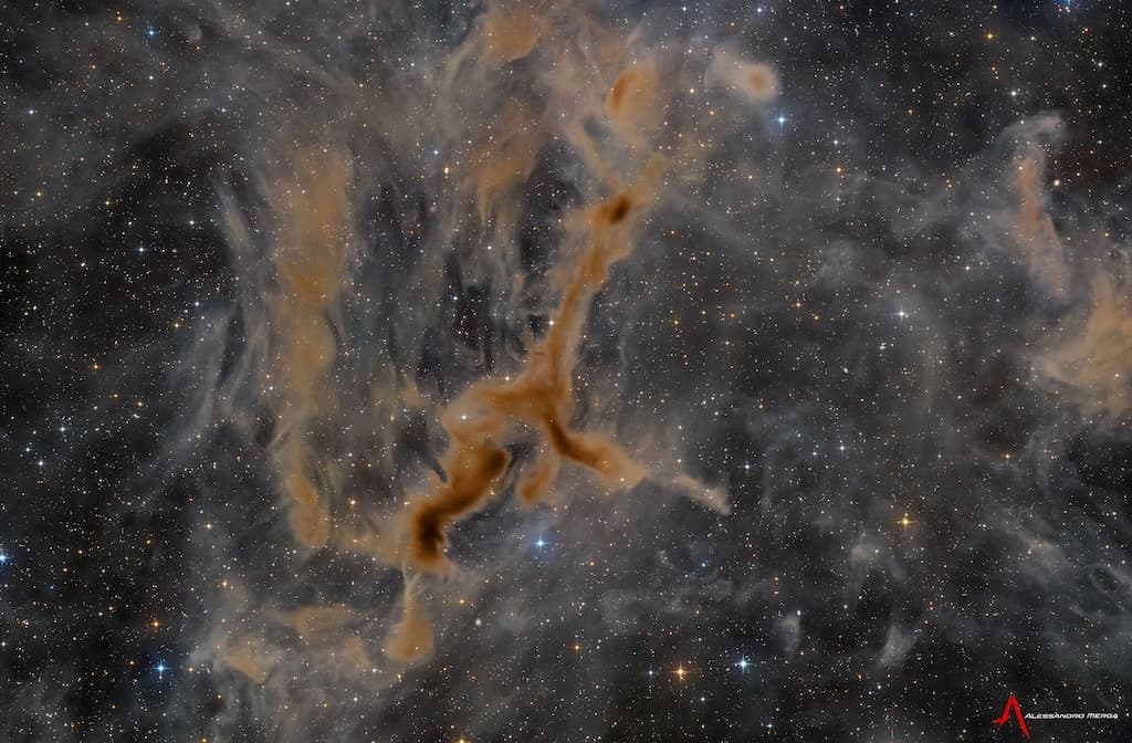 NASA obrázek dne: LDN 1295: Mlhovina Žirafa